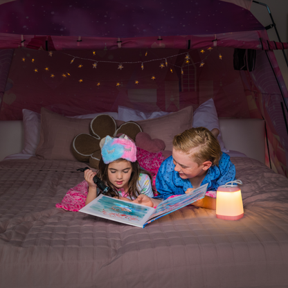 Princess Fort
